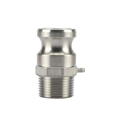 2 "plug x 2" NPT macho Global Tipo F Camlock acoplamento e mangueira de sulco de ajuste para durável