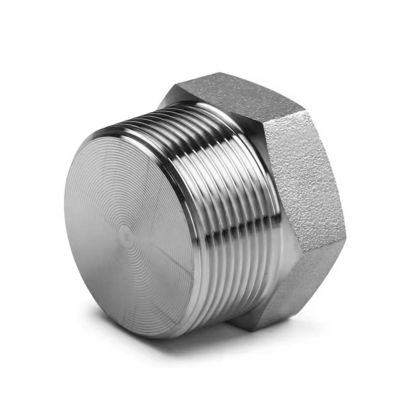 Plata forjada de alta pressão NPT macho Hex Plug para aço inoxidável 304 316 316L