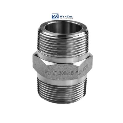 SS304 316 316L Forjado sob alta pressão Hex Nipple 300 bar Fios masculinos iguais/Redutores Nipple
