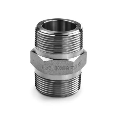 SS304 316 316L Forjado sob alta pressão Hex Nipple 300 bar Fios masculinos iguais/Redutores Nipple