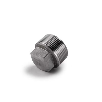 Aço inoxidável revestido de prata WZ 304 316 316L Liga quadrada forjada sob alta pressão NPT BSPT