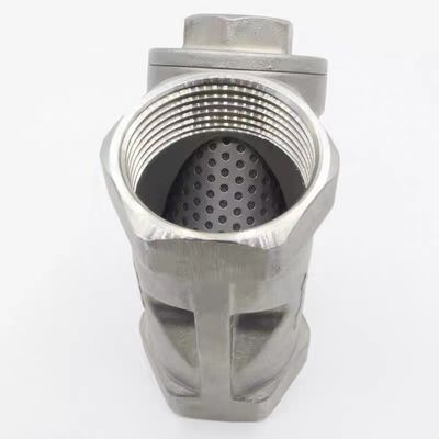WZ SS316 304 Estripador profissional de aço inoxidável tipo Y para filtro de água de tubulação igual