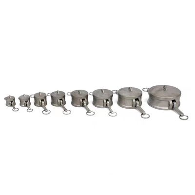 Conectores rápidos de aço inoxidável 304 316 Camlock para óleo de gás e água NPT BSP 1/4"-4" WZ