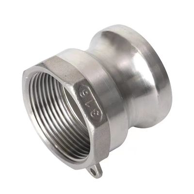 Equal WZ SS 304 316 A Tipo Adaptador de acoplamento Camlock Prateado para NPT BSP Quick Connect
