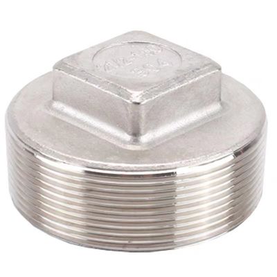 Suporte personalizado 304 de aço inoxidável cabeça quadrada de plugues de núcleo classe 150 2' NPT macho