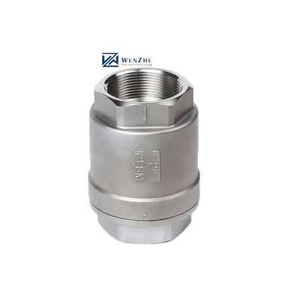 H12W-16P válvula de verificação vertical de mola para porta de fio de aço inoxidável de tamanho múltipla personalizada