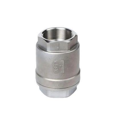 H12W-16P válvula de verificação vertical de mola para porta de fio de aço inoxidável de tamanho múltipla personalizada